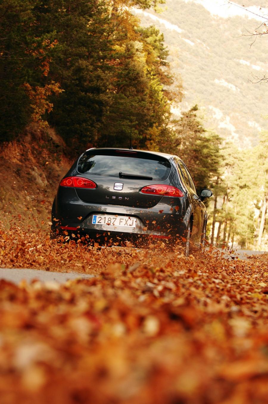  Seat Leon 2005 года  (фото 114 из 126)